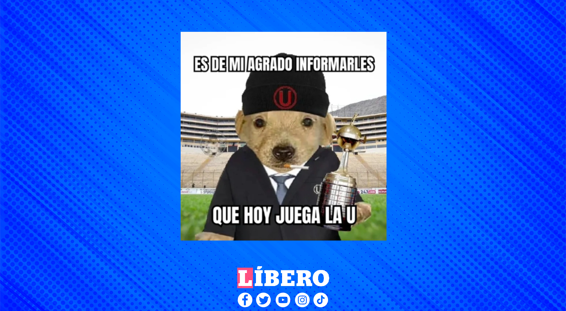 Memes Universitario vs. IDV